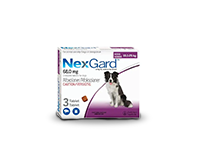 Nex Gard 10,1-25 kg